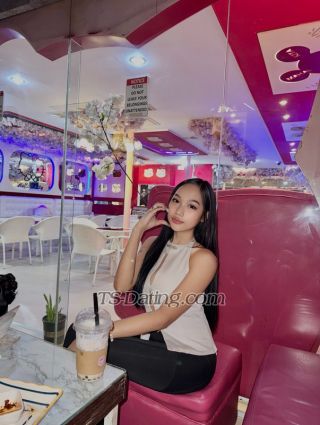 trans girl MollyPretty 3073383