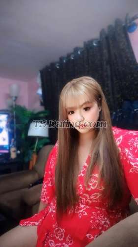 trans girl Monica21 3546182 trans girl Monica21 3546182