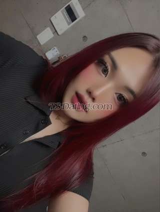 trans girl Msdior 2628799 trans girl Msdior 2628799