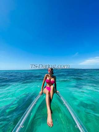 trans girl Msprofessor08 6886954 trans girl Msprofessor08 6886954