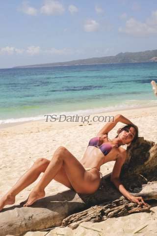 trans girl Msprofessor08 6887061 trans girl Msprofessor08 6887061