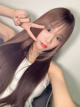 trans girl Murphycute 3796571 trans girl Murphycute 3796571