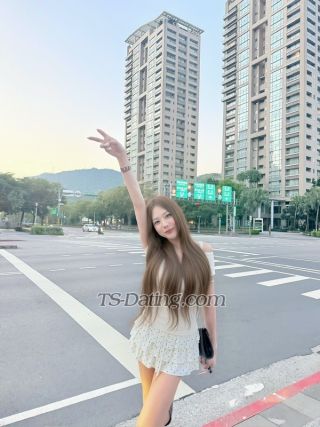 trans girl Murphycute 4747011 trans girl Murphycute 4747011