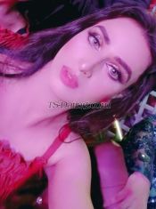 Muskan jan Lahore Transex Hello I am shemale available in Lahore DHA My place is
safe and secure saprt flat in only me alone Top class
service with VIP Shemale My service Sucking fucking
kissing massage Roll Top Bottom Versatile Dominate
Mistress BDSM Golden shower Body type fit 34 boobs 7
Active Dick Neat Clean Shemale available in Lahore DHA
Contact me only WhatsApp 03000112916Please
contact me good afford think