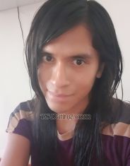 maccarena1234 Madrid Transex Hola a todos. Soy solo pasiva. No tengo ninguna operación.
Soy natural. Me gusta servir a hombres activos, generosos,
dominantes y maduros que tengan un lugar en Madrid, cerca al
centro. También puedo reunirme para hablar y escucharte si
eso es lo que necesitas. Estoy disponible principalmente
durante las tardes / noches. Contáctame en TLG para obtener
más información. Contáctame en WhatsApp y Telegram: +39
320 656 3390 o @aquilone123 en tlgr. Te
espero.hello everyone. i am only passive. i
dont have any operations. i am natural. i like to serve
active, generous, dominant and mature men who have a place
only in madrid. i only go outcall. i can also meet for
talking and listening if that is what you need. i am mostly
available during the afternoons / evenings. contact me on
tlg for more information. contact me on whatsapp and
telegram: +39 320 656 3390 or @aquilone123 on tlgr. i am
waiting for you.