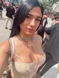 madisonrendon Valencia Transex soy una impresionante jovencita de 22 años soy delgadita ,
con el de una modelo
me encanta ser tu acompañante en
todo momento, mi es maxima, disfrutaras de mi a todas horas,
soy muy divertida y lo vas a comprobar cuando estemos
juntos. Hago salidas, acompaño a eventos tambien ofrezco
fantasticos masajes relajantes
te espero en mi
apartamento privado también hago videollamada

I am
an impressive 22 year-old girl, I am skinny, with the great
body of a model, my I love being your companion at all
times, my involvement is maximum, you will enjoy me at all
times, I am very funny and you will see it when we are
together. I also offer fantastic relaxing massages I wait
for you in my private apartment my instagram I also make a
video call