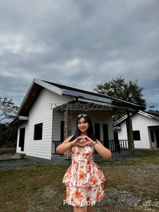 trans girl mariagwenforu 5445649 trans girl mariagwenforu 5445649