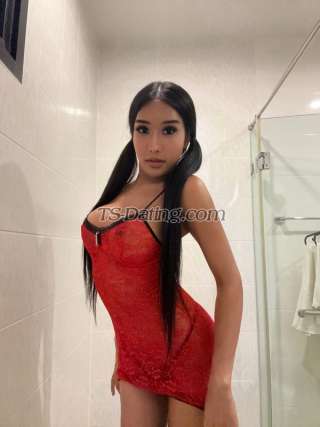 trans girl memesexy14 5751342 trans girl memesexy14 5751342