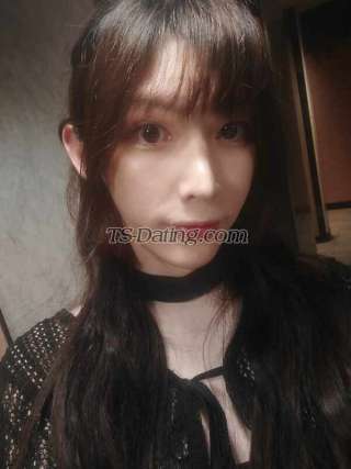 trans girl meowiiting 7949899 trans girl meowiiting 7949899