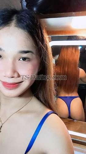 trans girl mialeigh27 7323640 trans girl mialeigh27 7323640