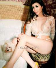 mirna Dbayeh Transex ciao sono una bella trans in cerca di 4 fun wjth 8 pollici down blow io vado molto bene ... ho un bel posto in bella area ... من لبنان da lebano / (💎