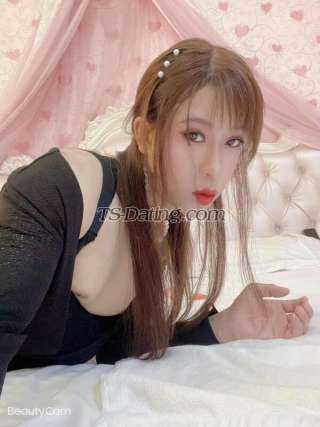 trans girl missdu 2560206 trans girl missdu 2560206