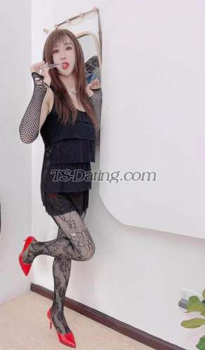 trans girl missdu 2560368 trans girl missdu 2560368