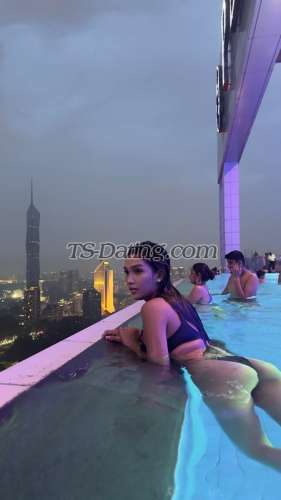 trans girl missgalema 1879925 trans girl missgalema 1879925