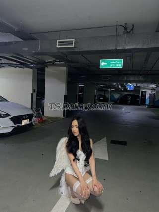 trans girl missylove 7788810 trans girl missylove 7788810