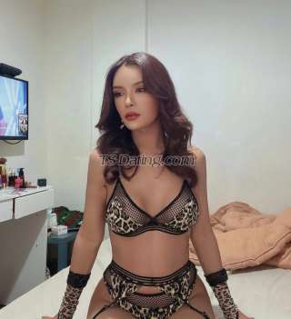 trans girl NATTACHA 3947859 trans girl NATTACHA 3947859