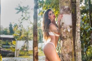 trans girl NICOLLY 4484362