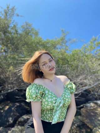 trans girl Nampan 4877653 trans girl Nampan 4877653