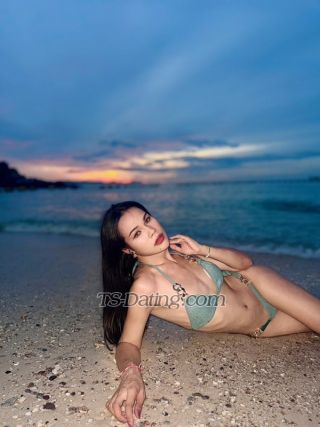 trans girl NancyLB99 6885261 trans girl NancyLB99 6885261