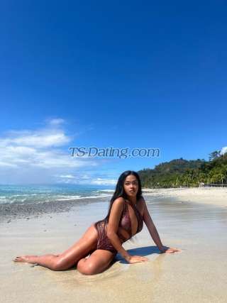 trans girl NastyBitch 4352641 trans girl NastyBitch 4352641