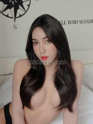 trans girl Nattanamez 8226592 trans girl Nattanamez 8226592