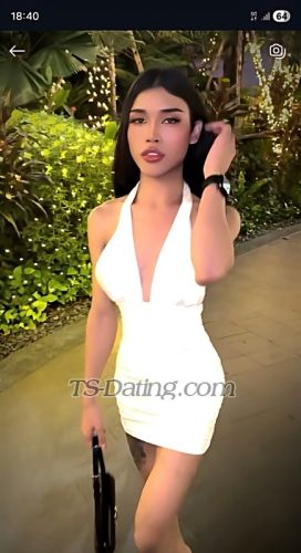 trans girl Natty1000 3748510