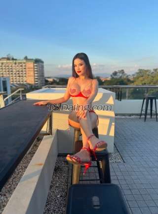 trans girl Natty6359 2596932 trans girl Natty6359 2596932