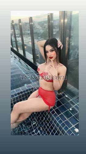 trans girl Natty6359 2596960 trans girl Natty6359 2596960