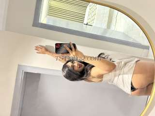 trans girl Natty8888 8782229 trans girl Natty8888 8782229