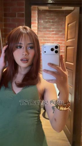 trans girl Nayladavies 4654855 trans girl Nayladavies 4654855