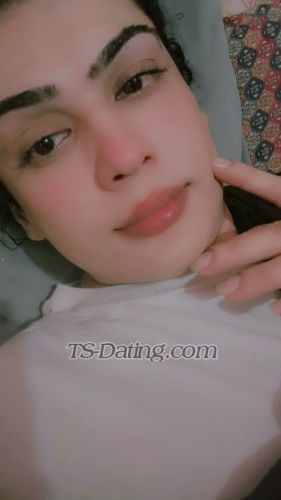trans girl Neelam7700 7642088 trans girl Neelam7700 7642088