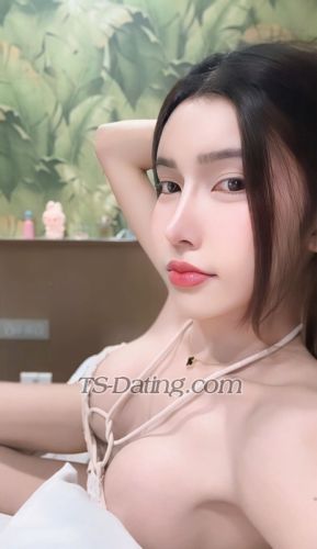 trans girl Nichaaa 3235665 trans girl Nichaaa 3235665