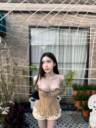 trans girl Nichaaa 9928949 trans girl Nichaaa 9928949