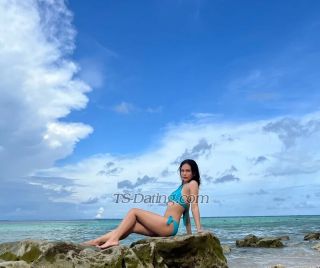 trans girl Nichapha 4846551 trans girl Nichapha 4846551