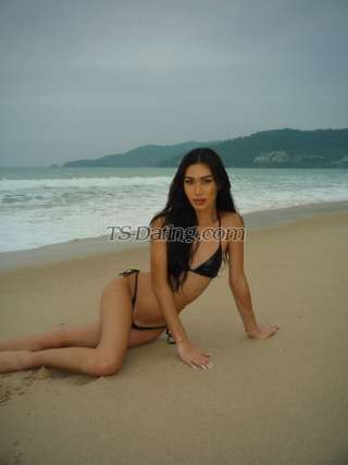 trans girl Nicloe5518 2356243 trans girl Nicloe5518 2356243