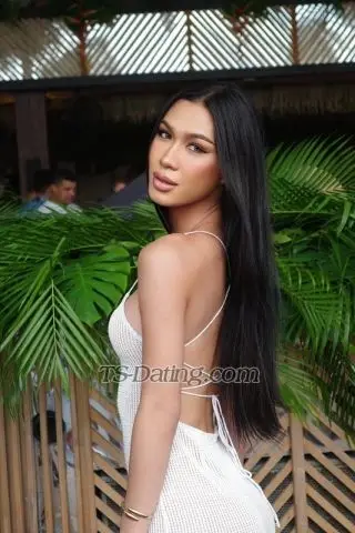 Shemale Nicloe5518 8089761 Shemale Nicloe5518 8089761