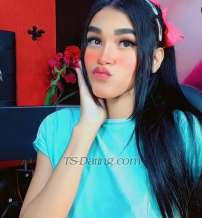 Nicol TS Valle Del Cauc Transex Soy una niña trans muy caliente y traviesa estoy para
satisfacer tus deseos y ancias sexuales,mido 1 metro 67 soy
pequeña , soy muy versátil , me gusta el morbo y que me
chupen la polla, tambien vendo contenidos , todo tipo , y
hago videollamadas .