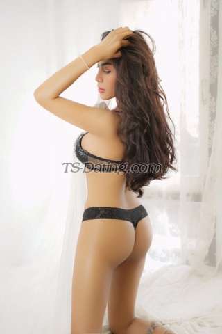 trans girl Nicole117 5684971 trans girl Nicole117 5684971