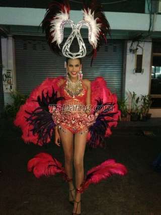 trans girl Nicole18 7543150