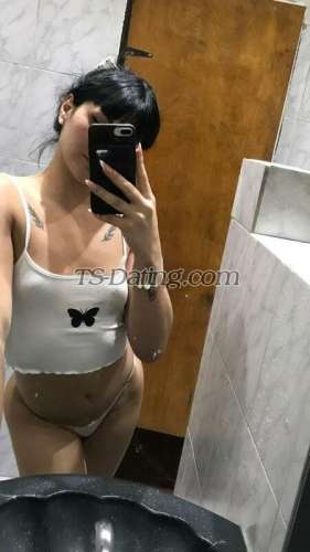 trans girl NicoleM 3500146 trans girl NicoleM 3500146