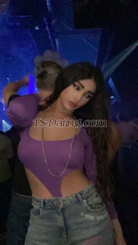 trans girl Nicolitta 6660127 trans girl Nicolitta 6660127