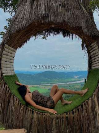 trans girl NicolleSweet 6044190 trans girl NicolleSweet 6044190