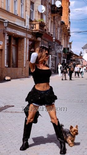 trans girl Nikakrouf 9432724 trans girl Nikakrouf 9432724