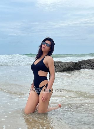 trans girl Nikasohahott 8199556 trans girl Nikasohahott 8199556