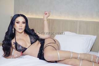 trans girl Niki2229 0500183 trans girl Niki2229 0500183