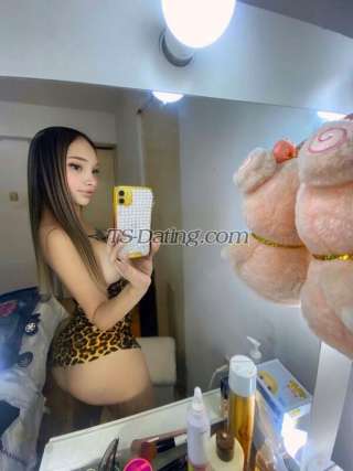 trans girl NikitaFox 3165058 trans girl NikitaFox 3165058