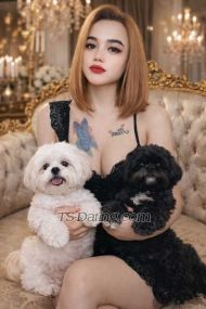 Nikitaclaudy Jakarta Transex HI i am nikita Shemale TOP INDONESIA , i am Profesional
servise and can do anything for your fantasy, good attitude
and have nice dick AVAIL For BDSM, Scatt Slave,
Mistress, 3some Couple, Fisting, Golden Shower, Camsex etc.
I'm nice person and smart one,wanna girl friend
experience its my skill ..call me if you interested
babe. Call me on Whatshap : +6285361025835 tele
@CllauBIG