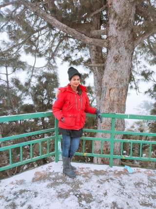 trans girl Nikkiarora 2244798