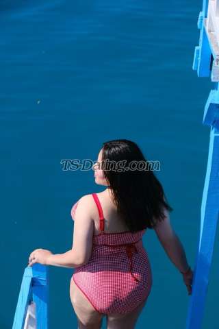 trans girl Nikkielicious 5405458 trans girl Nikkielicious 5405458