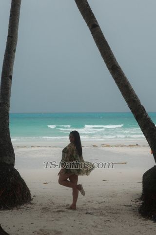 trans girl Nikkielicious 8656401 trans girl Nikkielicious 8656401